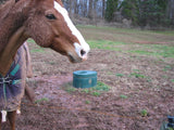 Horse Waterer