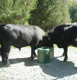 2 Hole Lapp  Waterer | Free USA Shipping - Speedritechargers.com