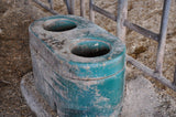 dairy cow watering tank
