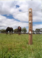Electric Fence Posts for your Farm or Ranch | Patriot Fencing