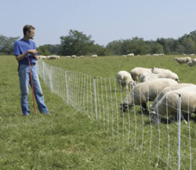 Sheep, Goat, Poultry Electric Fence Netting