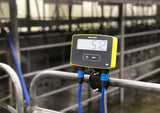 Tru-Test S3 Weigh Scale Indicator at cattle ranch in barn